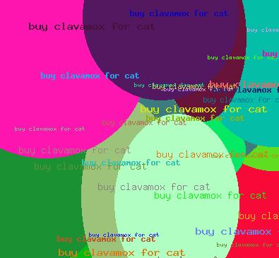 Buy clavamox for cat